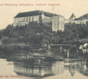 banner Vígľaš