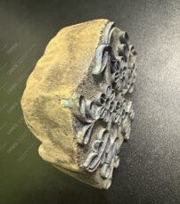 Ručné modrotlačové razidlo 1